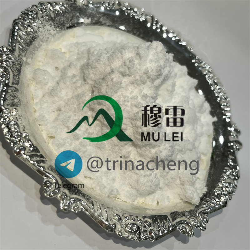 Methylamine HCl / Methylamine hydrochloride CAS 593-51-1 China Supplier