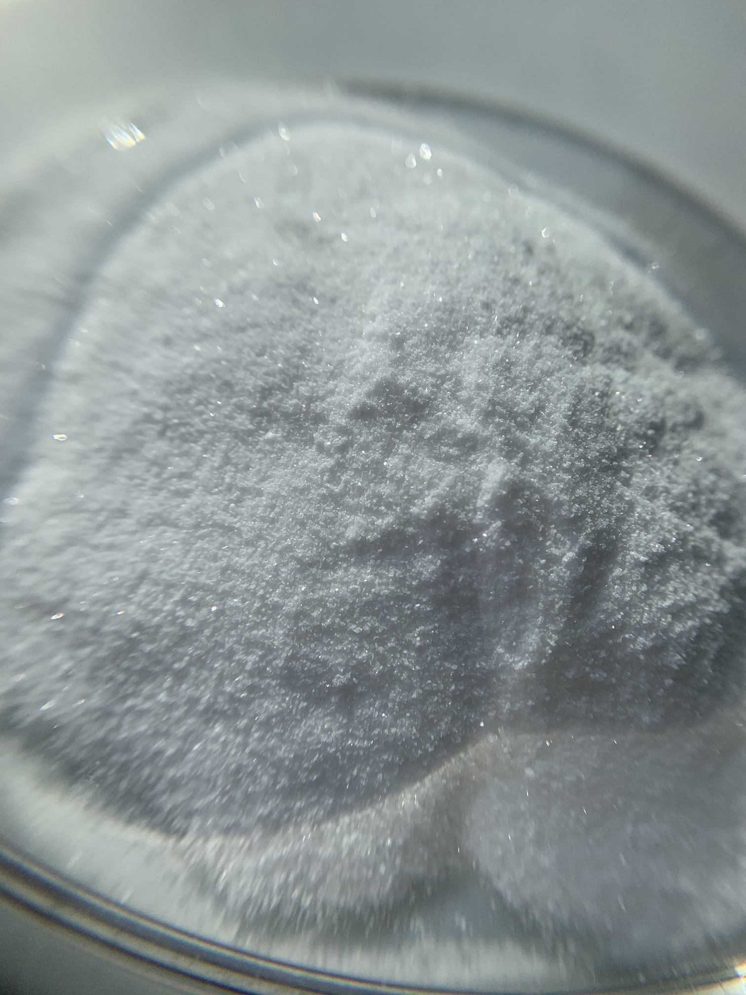 Phenacetin Powder (shiny/ Matt) CAS: 62-44-2
