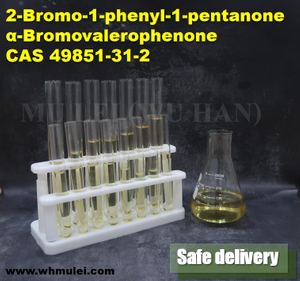 Fast Delivery 2-Bromovalerophenone CAS 49851-31-2 Organic Intermediate From China Supplier 