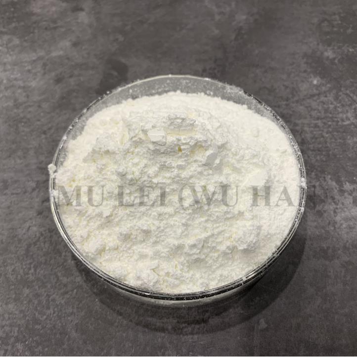 BMK Glycidic Acid (sodium Salt) Powder CAS: 5449-12-7 