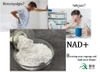 NAD+ Powder (Nicotinamide Adenine Dinucleotide) CAS: 53-84-9